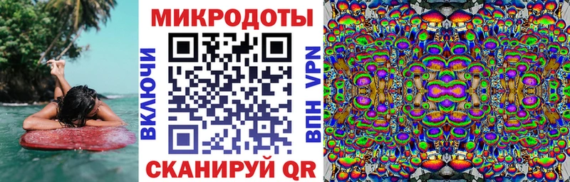 что такое   Карабулак  Галлюциногенные грибы Psilocybine cubensis 